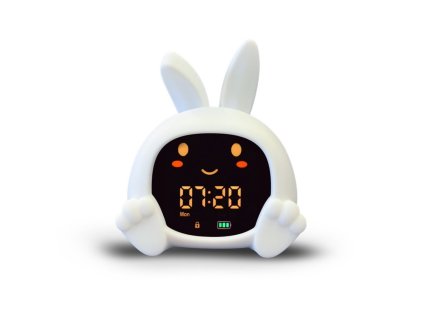 b68d3c79b9ea03 zazu sarah 1