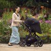 Nuna set DEMI™ next 2025 pine