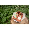 Baobaby pelice soft sole shoes Dino Surprise (3)