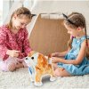intreraktivni pejsek Fioss Pet 8