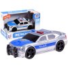 policejni auticko stribrne