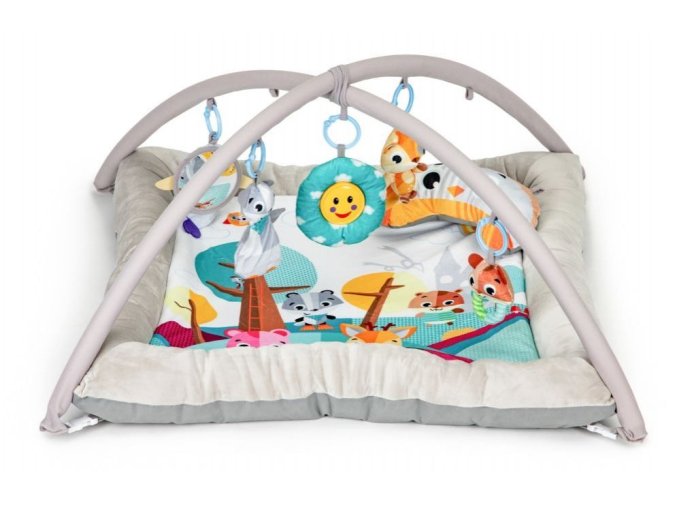 Ecotoys hraci deka Deluxe Gym