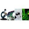 detsky mikroskop optic Microscope 13