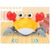 pohyblivy krab oranzovy