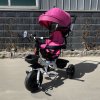 Ecotoys detska trikolka S360 ruzova 5