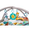 Ecotoys hraci deka Deluxe Gym 7