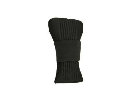ispin xl evergreen