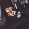travelpal1