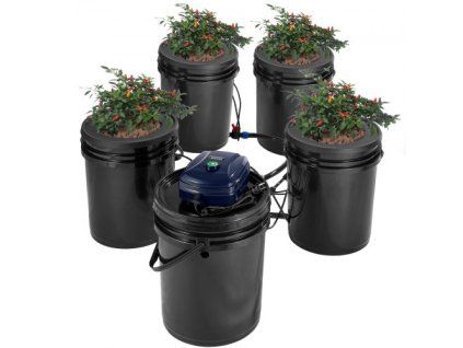 us%2FSSSPXT41T8INE1FIBV2%2Fgoods img v2%2Frdwc hydroponic system m100 1.2