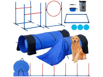 us%2FTYKMJKCTJJCKGHIUDV0%2Fgoods img v4%2Fdog agility equipment m100 1.2
