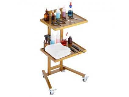 us%2FSYSTCECKFYS4QES24V0%2Fgoods img v1%2Flab carts m100 1.2