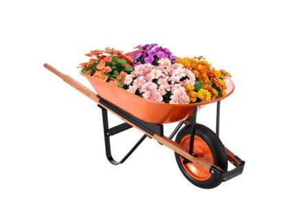 us%2FFDL2LHYTC1JLDOIX6V0%2Fgoods img v4%2Fwheelbarrow cart m100 1.2