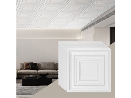 us%2FTHBZPVCB12J20JVLNV0%2Fgoods img v1%2Fceiling tiles m100 1.2