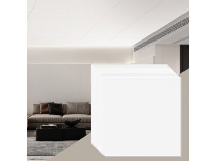 us%2FTHBZPVCFPB12YYQ3WV0%2Fgoods img v1%2Fceiling tiles m100 1.2