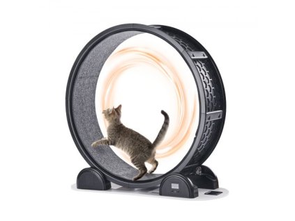 us%2FZNMPBJHSABS4XH5LBY3%2Fgoods img v1%2Fcat exercise wheel m100 1.2