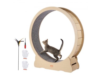 us%2FMZMPBJYMSMDBJ1EXWV0%2Fgoods img v2%2Fcat exercise wheel m100 1.2