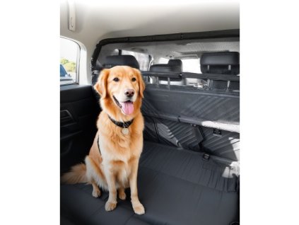 us%2FTYTYHPTZJSBZKO17BV0%2Fgoods img v1%2Fdog car barrier m100 1.2