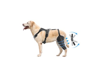 us%2FHXGGJZJKDSJXLQMLXV0%2Fgoods img v1%2Fdog knee brace m100 1.2