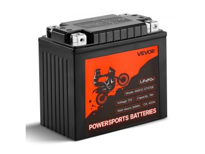 us%2FLSTLMTCDLDC1R0NQ7001V9%2Fgoods img v1%2Fmotorcycle battery m100 1.2