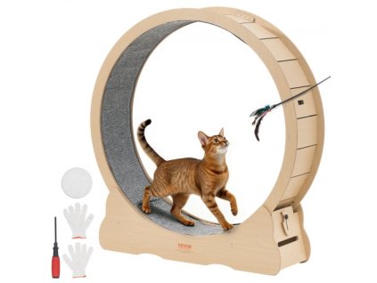 us%2FMZMPBJMWSMDB3W6JK001V0%2Fgoods img v2%2Fcat exercise wheel m100 1.2