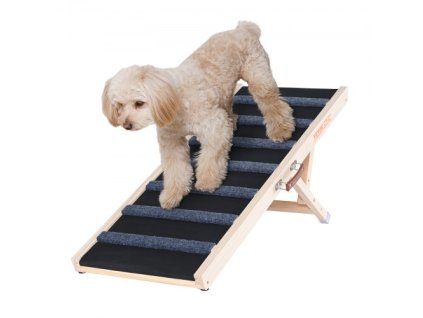 us%2FCWAQPDHSMZDZ756KJV0%2Fgoods img v1%2Fpet safety ramp m100 1.2
