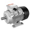 us%2FTYJLIECDJ345A1H28V8%2Fgoods img v1%2Fgeneral purpose ac motor m100 1.2