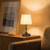us%2FBYDZTD595910CXIOT001V9%2Fgoods img v1%2Fcordless table lamp m100 1.2