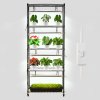 us%2FZWPYJDIYGN29IQXAP001V2%2Fgoods img v1%2Fplant shelf with grow light m100 1.2