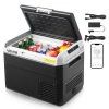 us%2FWLCZBXX30LDMV828E001V2%2Fgoods img v1%2Fcar refrigerator m100 1.2
