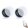 us%2FDPXDSYSQ8YCLGWO3A001V2%2Fgoods img v1%2Fceiling speaker m100 1.2