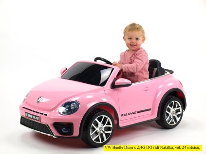Beetle bil 1