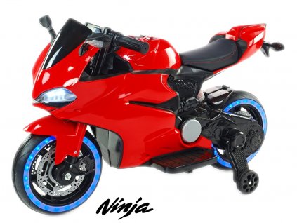Závodní motorka 1