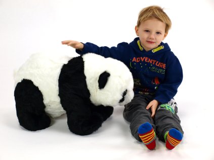 panda stojící 30