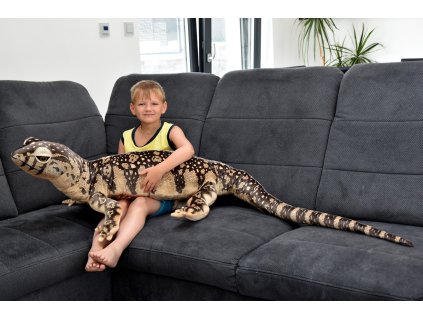 Varan 9