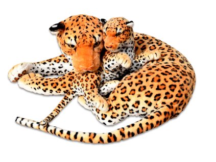Leopardice s mimi 1