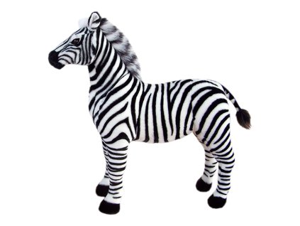 Zebra 1