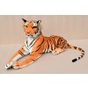 Tygr střední oranž 6