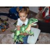 Plyšový stojící dinosaurus Tyranosaurus Rex, výška 48 cm, délka 70 cm, střední