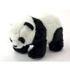 panda stojící 32