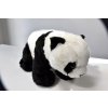 Panda stojící 3