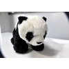 Panda stojící 4