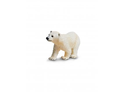 mlade ledniho medveda (2)