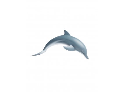 delfin (3)
