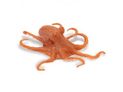 Chobotnice