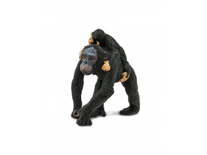 simpanz s mladetem (1)
