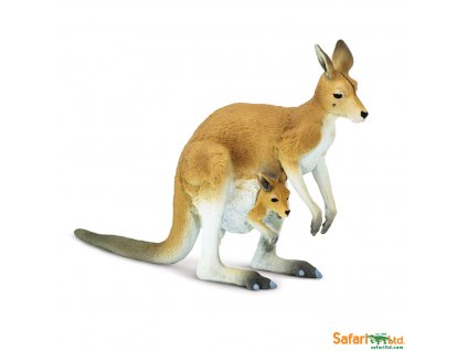 100108 Kangaroo with Joey