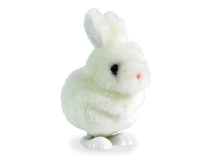 800702.bunny