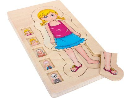 5814 puzzle anatomie a