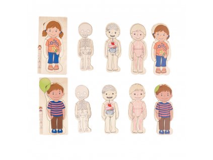 8375 vrstvene puzzle lidske telo divka chlapec