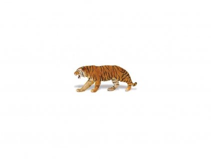 Tiger bengálsky